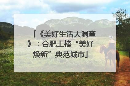 《美好生活大调查》：合肥上榜“美好焕新”典范城市