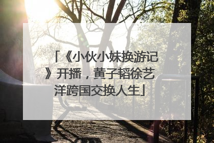 《小伙小妹换游记》开播，黄子韬徐艺洋跨国交换人生