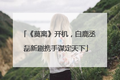 《莫离》开机，白鹿丞磊新剧携手谋定天下