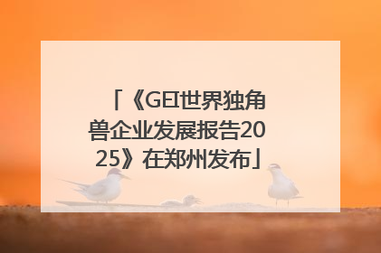 《GEI世界独角兽企业发展报告2025》在郑州发布