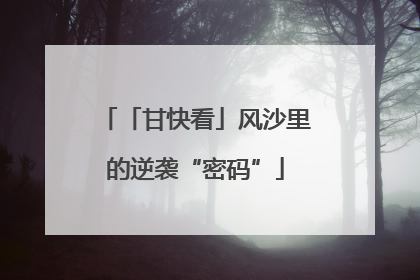 「甘快看」风沙里的逆袭“密码”