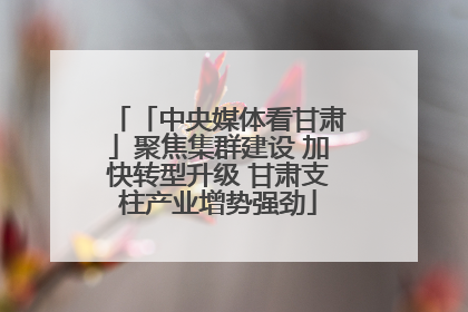 「中央媒体看甘肃」聚焦集群建设 加快转型升级 甘肃支柱产业增势强劲