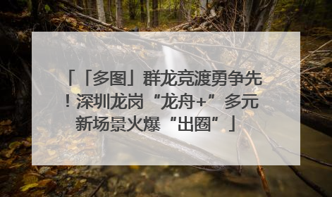 「多图」群龙竞渡勇争先！深圳龙岗“龙舟+”多元新场景火爆“出圈”