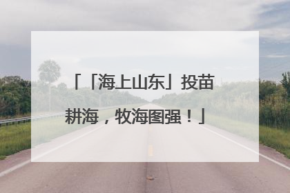 「海上山东」投苗耕海，牧海图强！