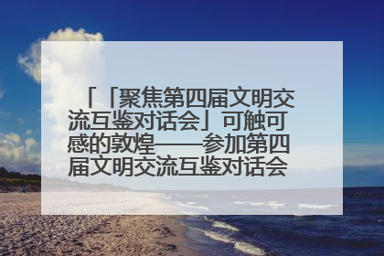 「聚焦第四届文明交流互鉴对话会」可触可感的敦煌——参加第四届文明交流互鉴对话会的外宾参观上元市集