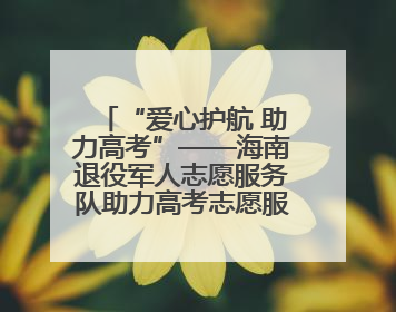 “爱心护航 助力高考”——海南退役军人志愿服务队助力高考志愿服务活动