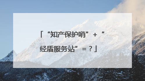 “知产保护哨”+“经盾服务站”=？