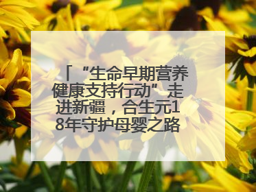 “生命早期营养健康支持行动”走进新疆，合生元18年守护母婴之路再启新征程