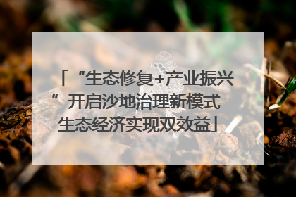 “生态修复+产业振兴”开启沙地治理新模式 生态经济实现双效益