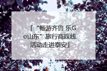 “畅游齐鲁 乐Go山东”旅行商踩线活动走进泰安