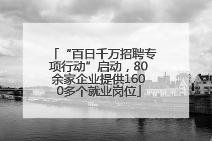 “百日千万招聘专项行动”启动，80余家企业提供1600多个就业岗位