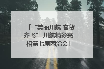 “美丽川航 客货齐飞” 川航精彩亮相第七届西洽会