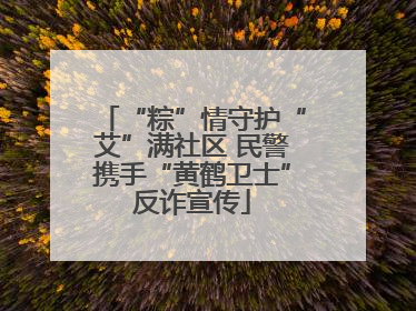 “粽”情守护“艾”满社区 民警携手“黄鹤卫士”反诈宣传