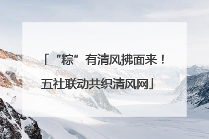 “粽”有清风拂面来！五社联动共织清风网