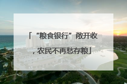 “粮食银行”敞开收，农民不再愁存粮