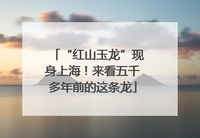 “红山玉龙”现身上海！来看五千多年前的这条龙