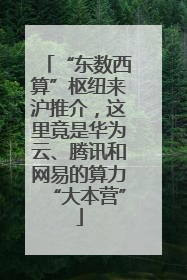 “东数西算”枢纽来沪推介，这里竟是华为云、腾讯和网易的算力“大本营”