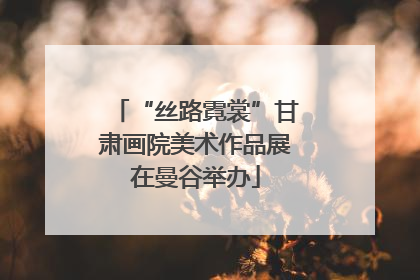 “丝路霓裳”甘肃画院美术作品展在曼谷举办