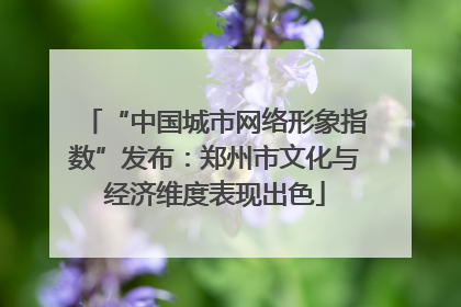 “中国城市网络形象指数”发布：郑州市文化与经济维度表现出色