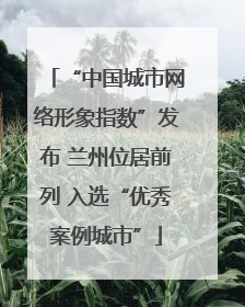 “中国城市网络形象指数”发布 兰州位居前列 入选“优秀案例城市”