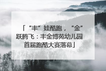 “丰”娃酷跑，“金”跃腾飞：丰金博苑幼儿园首届跑酷大赛落幕