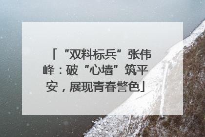 “双料标兵”张伟峰：破“心墙”筑平安，展现青春警色