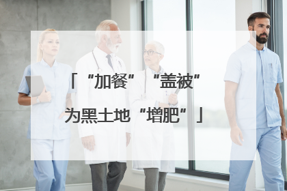 “加餐”“盖被” 为黑土地“增肥”