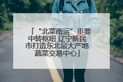 “北菜南运”重要中转枢纽 辽宁新民市打造东北最大产地蔬菜交易中心