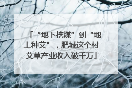 “地下挖煤”到“地上种艾”，肥城这个村艾草产业收入破千万