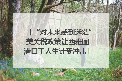 “对未来感到迷茫” 美关税政策让西雅图港口工人生计受冲击
