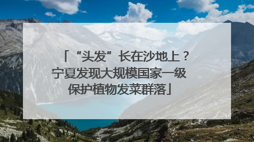“头发”长在沙地上？宁夏发现大规模国家一级保护植物发菜群落