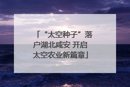 “太空种子”落户湖北咸安 开启太空农业新篇章
