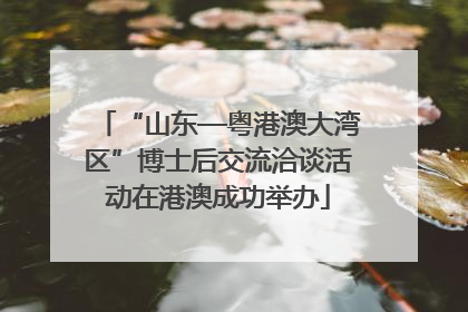 “山东—粤港澳大湾区”博士后交流洽谈活动在港澳成功举办