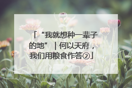 “我就想种一辈子的地”｜何以天府，我们用粮食作答②