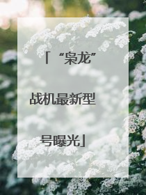 “枭龙”战机最新型号曝光