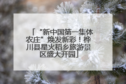 “新中国第一集体农庄”焕发新彩！桦川县星火稻乡旅游景区盛大开园