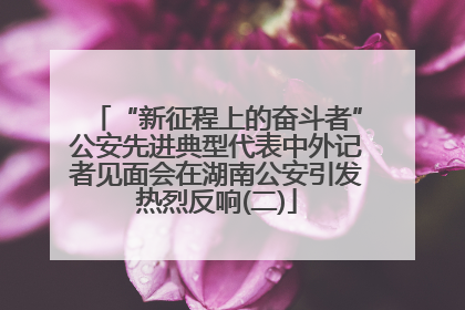 “新征程上的奋斗者”公安先进典型代表中外记者见面会在湖南公安引发热烈反响(二)