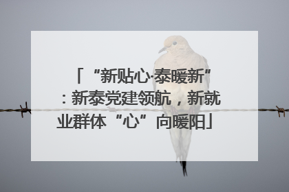 “新贴心·泰暖新”：新泰党建领航，新就业群体“心”向暖阳