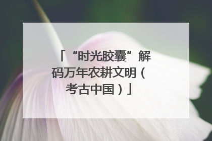 “时光胶囊”解码万年农耕文明（考古中国）