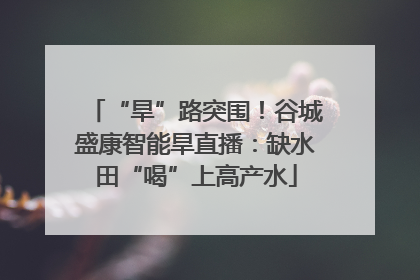 “旱”路突围！谷城盛康智能旱直播：缺水田“喝”上高产水