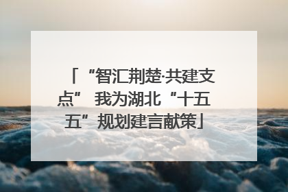 “智汇荆楚·共建支点” 我为湖北“十五五”规划建言献策