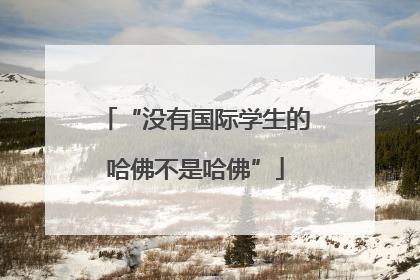 “没有国际学生的哈佛不是哈佛”