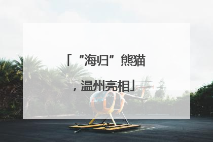 “海归”熊猫，温州亮相