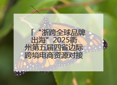 “浙跨全球品牌出海”2025衢州第五届四省边际跨境电商资源对接活动成功举办