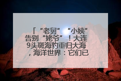 “老舅”“小姨”告别“姥爷”！大连9头斑海豹重归大海，海洋世界：它们已具备野外生存能力