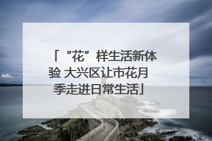 “花”样生活新体验 大兴区让市花月季走进日常生活