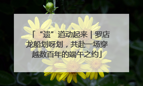 “遗”道动起来｜罗店龙船划呀划，共赴一场穿越数百年的端午之约