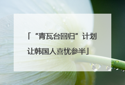 “青瓦台回归”计划让韩国人喜忧参半