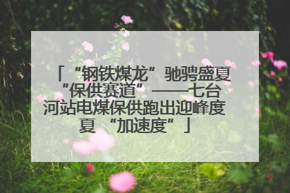 “钢铁煤龙”驰骋盛夏 “保供赛道”——七台河站电煤保供跑出迎峰度夏 “加速度”