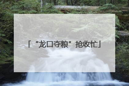 “龙口夺粮”抢收忙